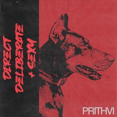 Direct, Deliberate, and Sexy (Original Mix) - Prithvi