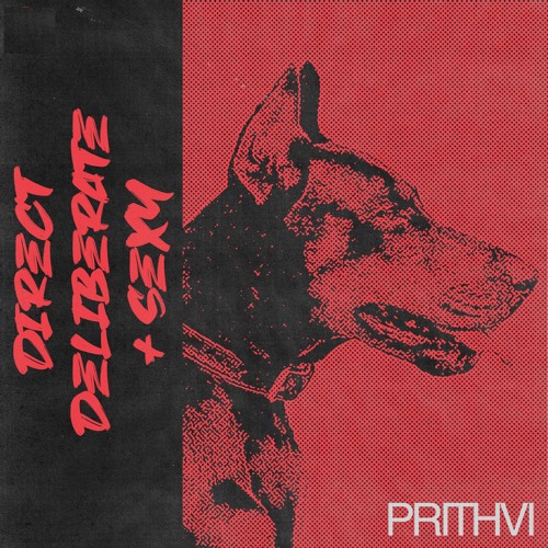 Direct, Deliberate, and Sexy (Original Mix) - Prithvi
