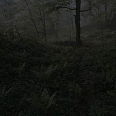 Vspak - Дорогая, сегодня загнался сильнее обычного (speed up)