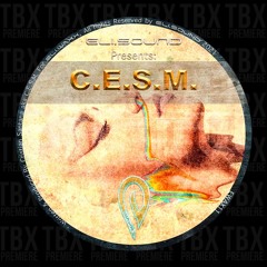 Premiere: C.E.S.M. - Kung Fu Cantona (Cupido. Remix) [eli.sound]