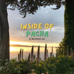 003 INSIDE OF PACHA DJ MUTANCIA ~