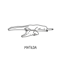 Vipisita - Matilda