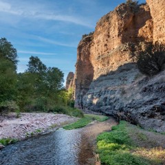 Aravaipa Creek at Dawn