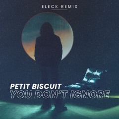 Petit Biscuit - You Don't Ignore (ELECK Remix)