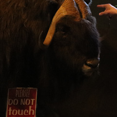 Return of the King Part II 'Kings Trilogy' (ft. Kanye West & DJ Nigger) | May 19, 2019