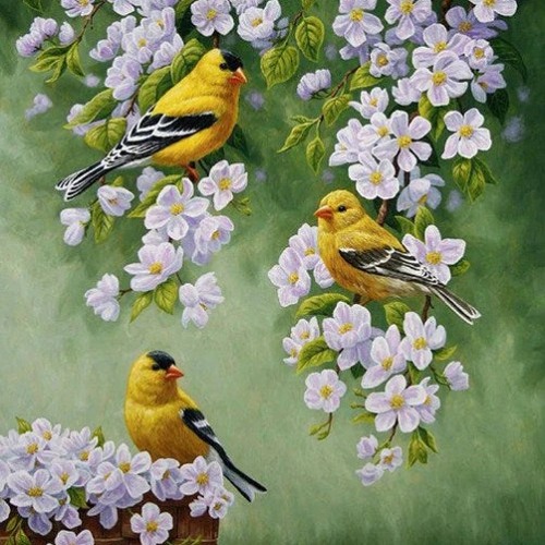 GOLDFINCH (Prod. By Pi & Osya)