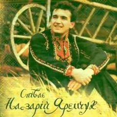Гей ви козаченьки