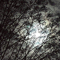 axxturel ft. d0llyw00d + krymzn - godtier x in da rain / 4 da pain x luv dem sounds