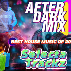 CAN YOU MIX THOUGH? HOUSE MIX MFD, CALLE, X5, HITTY, THE BLUE PRINT 2024