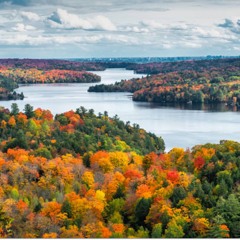 Autumn Colors