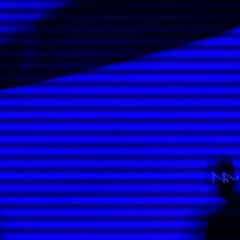 BROUGHT MY BITCH TO MIAMI