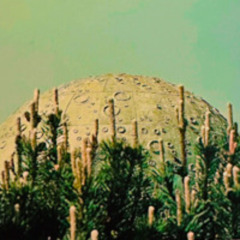 pearlwhite temple