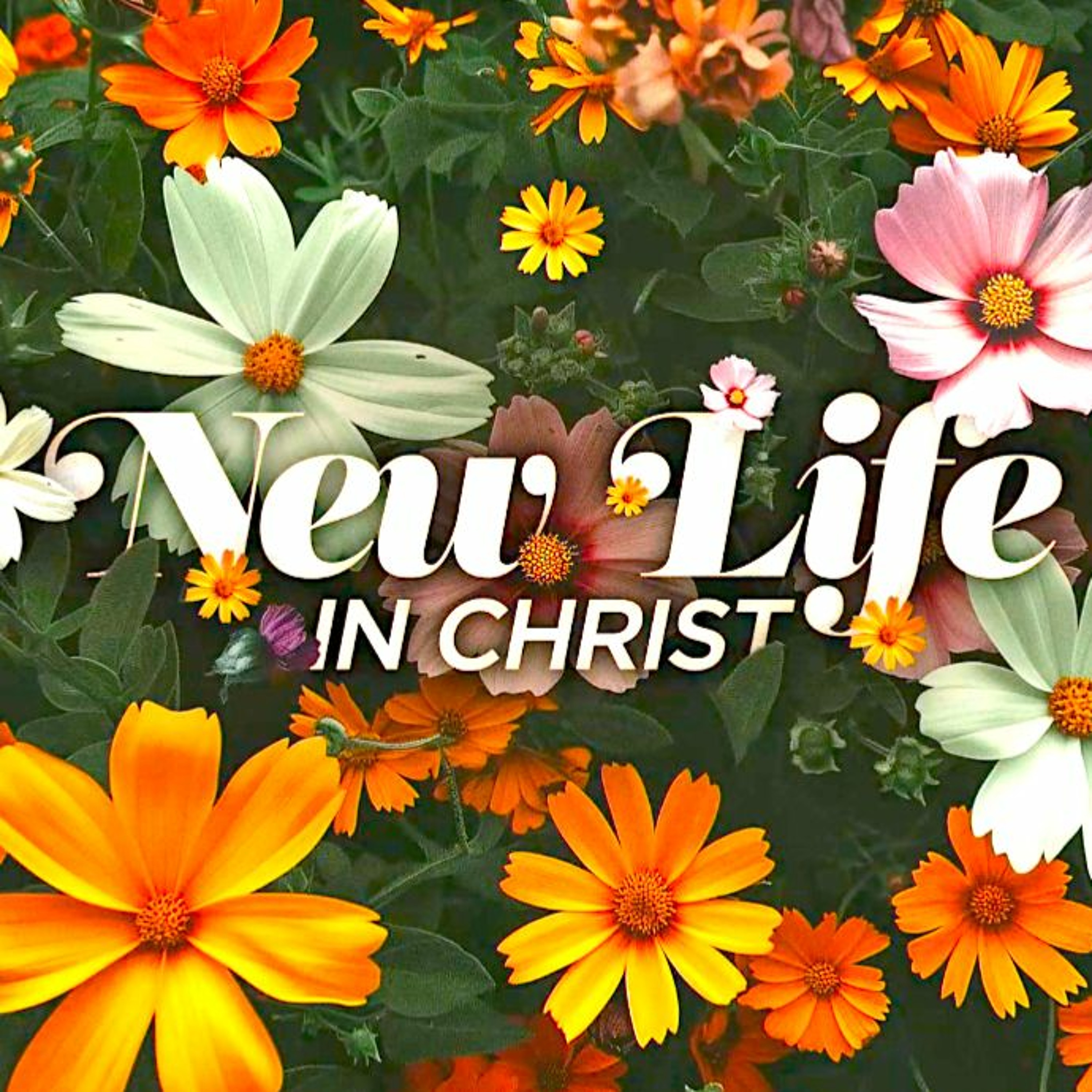 Church of Christ Mission Viejo