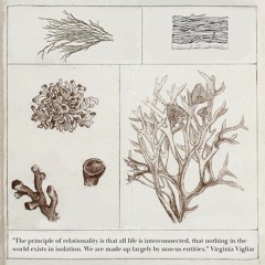 Ode to Entanglement-Radio Alhara Mix curated by Virginia Vigliar