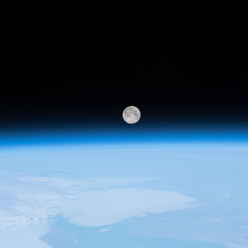 Bright Night(2025)🌍🌗