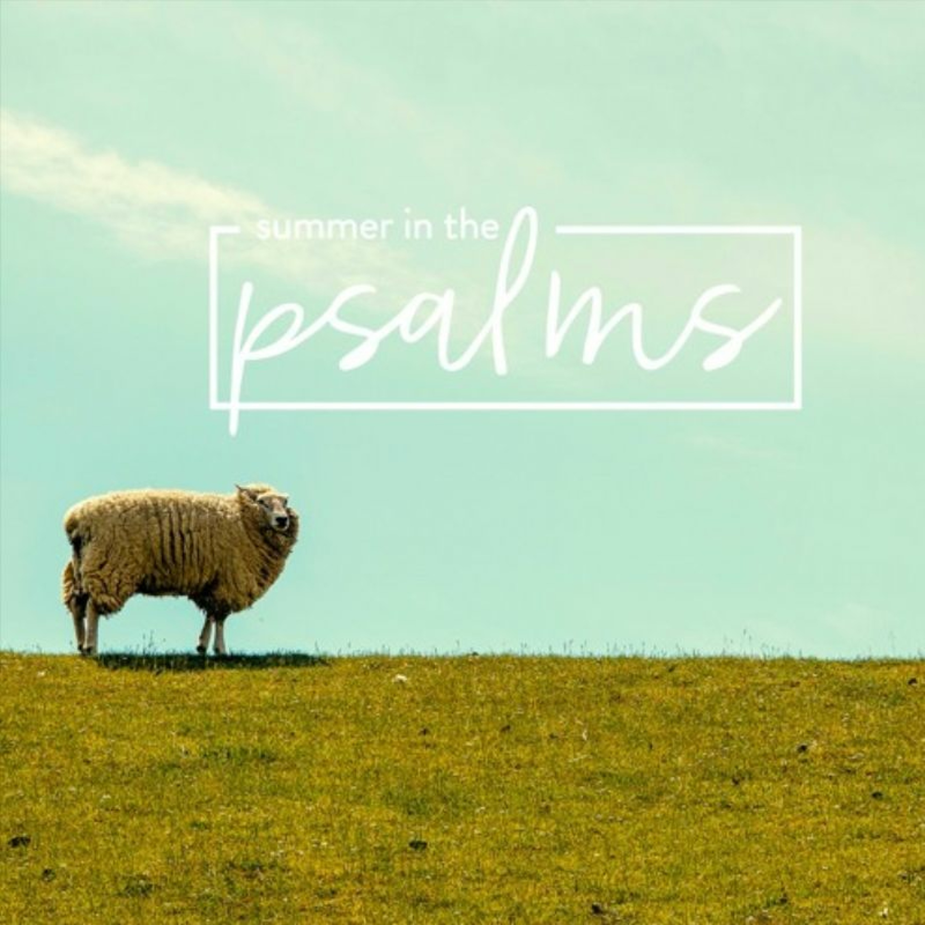 Sermons from Seven Mile Road Church in Waltham