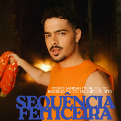 SEQUÊNCIA FEITICEIRA NO PIQUEZIN RJ (DJ CREPALDI & PEDRO SAMPAIO)