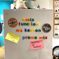 Basic Function - Ms. Kenton's Vinyl Promo Mix