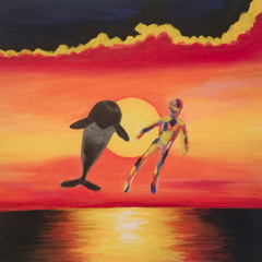 Sunrise Dolphin