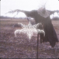 lucille - i'll be your scarecrow
