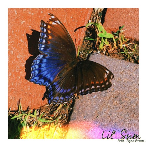 lil' sum ft. Joey Razo