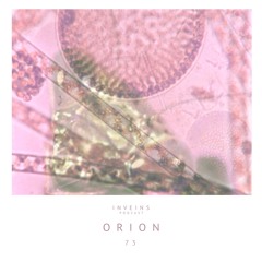 INVEINS \ Podcast \ 073 \ Orion