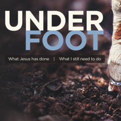 Underfoot 6