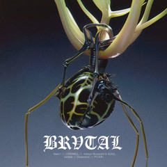 BRV007 // Alarico // Insolate // Indirect Movement & AGA2L // P. E.A.R.L. // Keepsakes // CVRDWELL