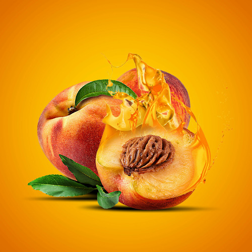 Shoulda listened to my homies