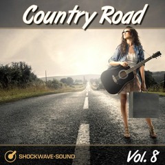 One To 7 - Texas Rocker (Groovy & Gritty Road Country Rock. Royalty-free music)