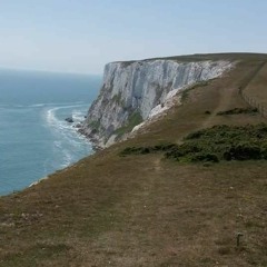 Vitalij Neugasimov - Lazy Bear