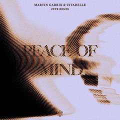 Martin Garrix & Citadelle - Peace Of Mind (ZEYB Remix)