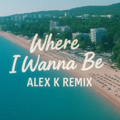 Were i wanna be-Alex k remix