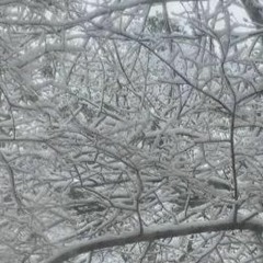 dolly + twox - play around prod. jenry