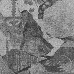 PREMIERE: Not Operated - Sirens (S-Limited)