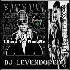 Pitbull - I Know You Want Me (Dj_Levendopedo - Balkan Remix 2023)