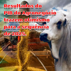 Resultados do PIB do Agronegócio trazem otimismo para a sequência de 2025.