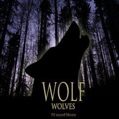 Wolf, Wolves - FX library preview