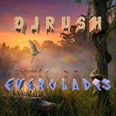 Everglades // FREE Chill House Track