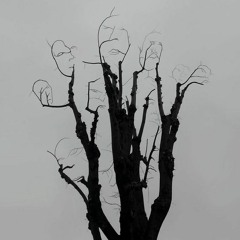 Chris Rogers and the Invisibles