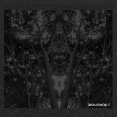 Disharmonie (Melodic Techno)