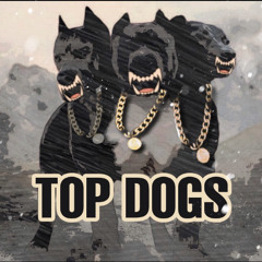 TopDogs Ft. Tr3y x Vcity