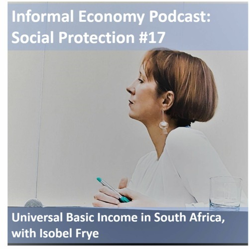 #17 Universal Basic Income In South Africa