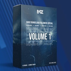 BATZ Mashup/Edit Pack Vol. 1 (10 Tracks + 2 Bonus Tracks) [Tech House, Electro House, Future House]