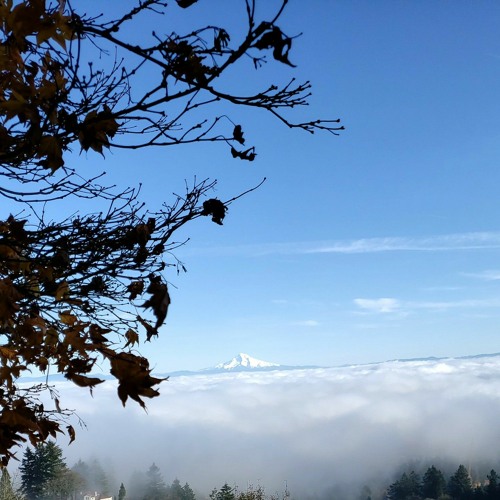 fueled by cheese fries