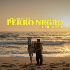 Bad Bunny Ft. Feid - Perro Negro (Khard Remix)