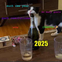 CHEERS TO A NEW YEAR 2025
