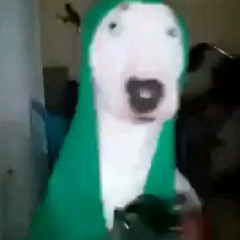 MTG - PRA CACHORRADA (Who Let The Dogs Out) {Dj Ismael da BS}