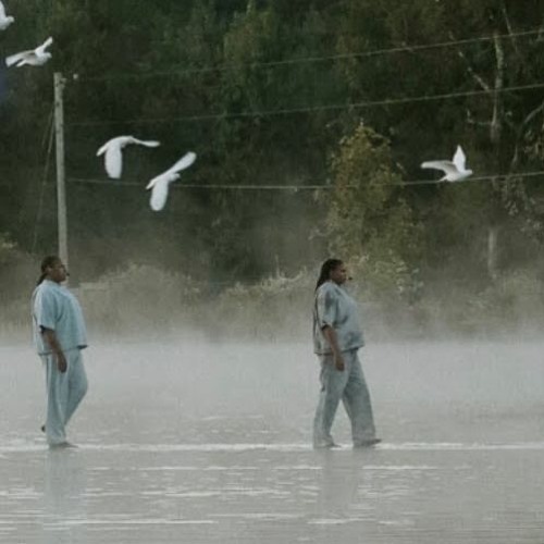 Mike Floss - Walk On Water