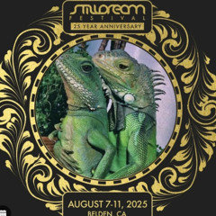 fractal dragon stilldream 2025 set
